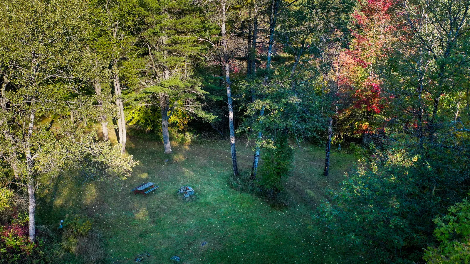 Aerial view of a campsite with picnic table nestled in the forest