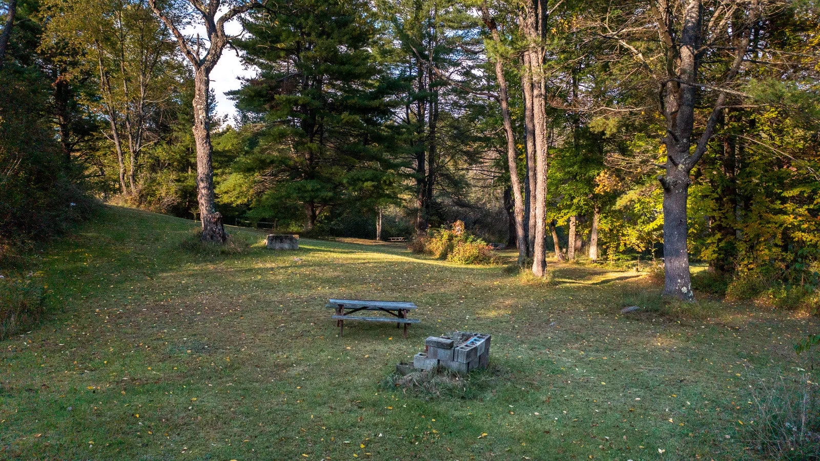 Campsite picnic table and fire pit from above