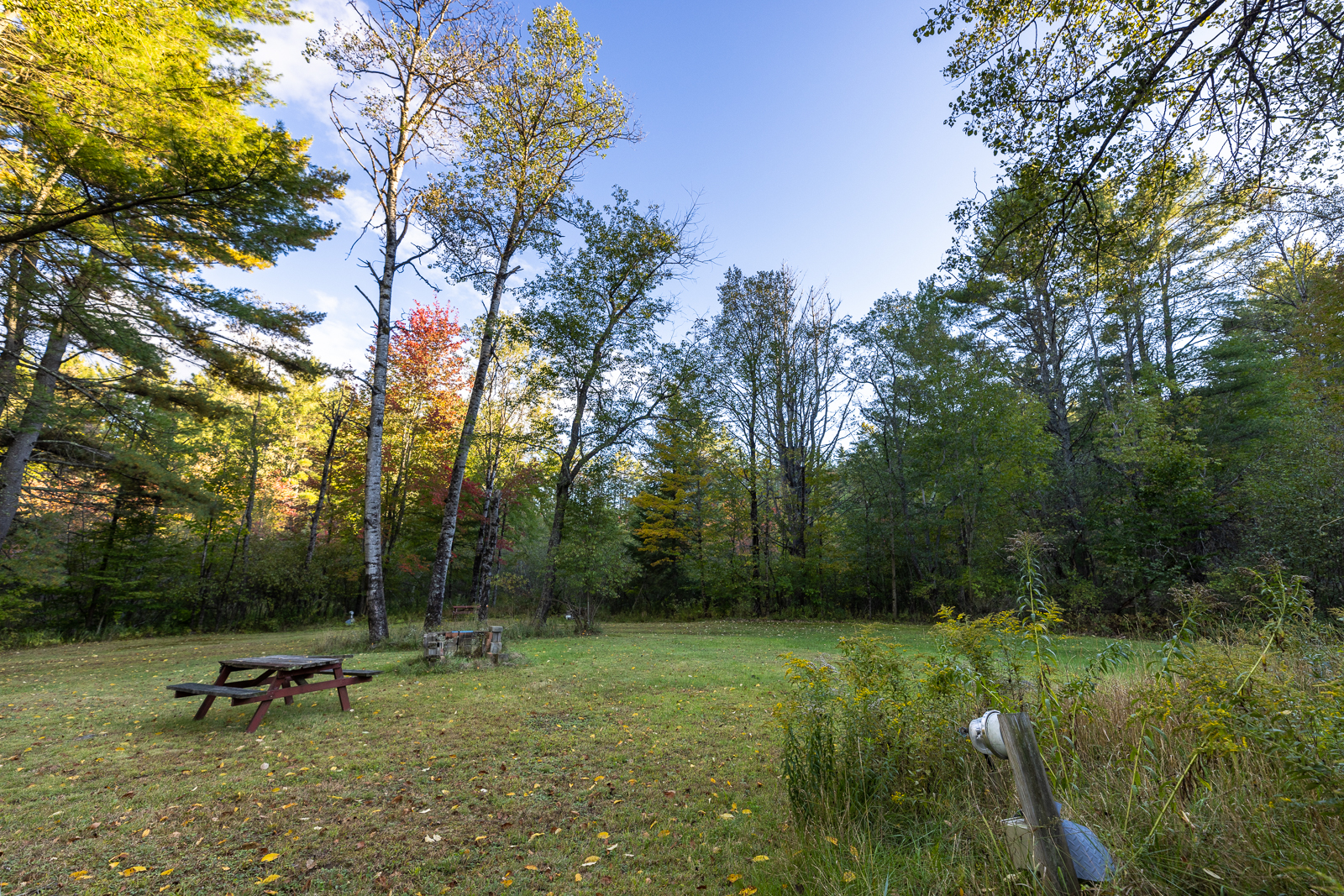 Campsite with picnic table in fall foliage