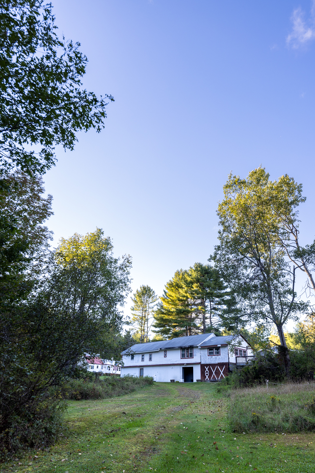 Campground building surrounded by trees