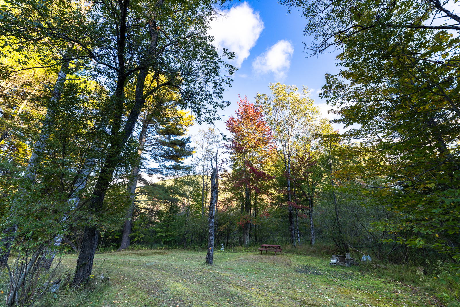 Campsite clearing surrounded by fall foliage