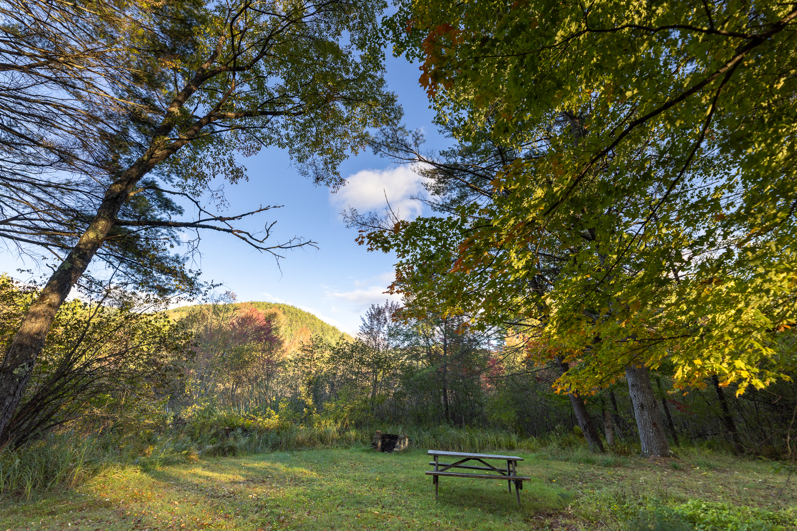 Campsite with picnic table and mountain view