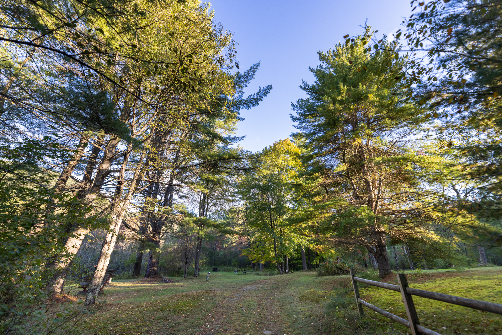 Tree-lined path with wooden fence through the campground