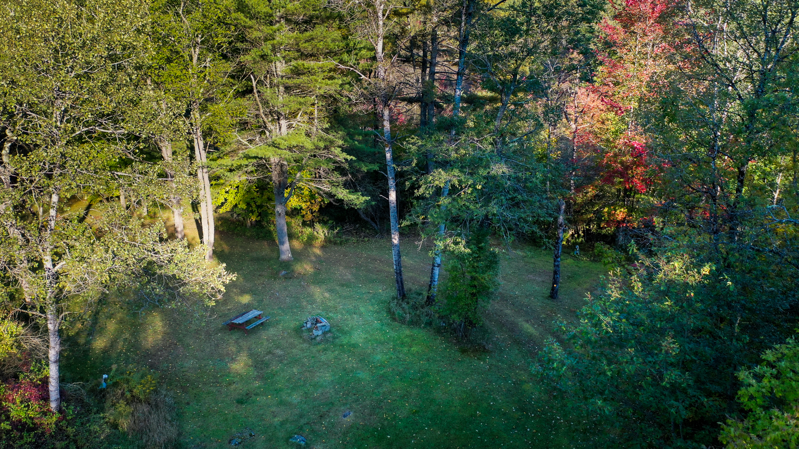 Aerial view of a campsite with picnic table nestled in the forest