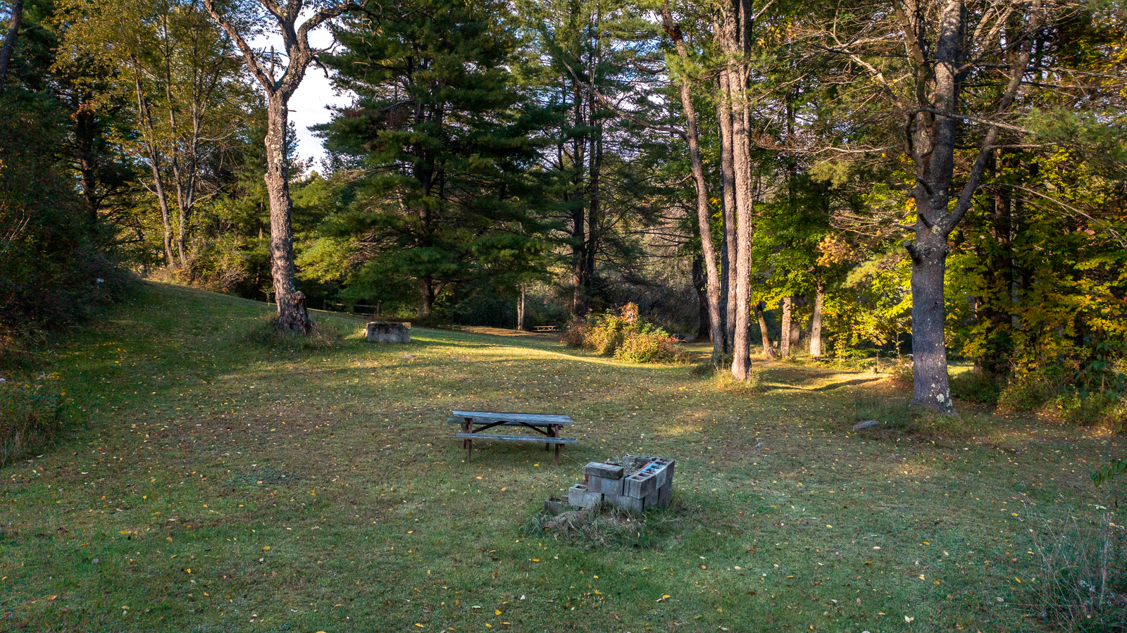 Campsite picnic table and fire ring from above